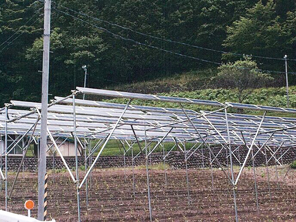 Japan 1.5MW Agriculture Project